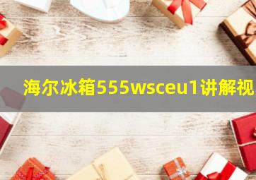 海尔冰箱555wsceu1讲解视频