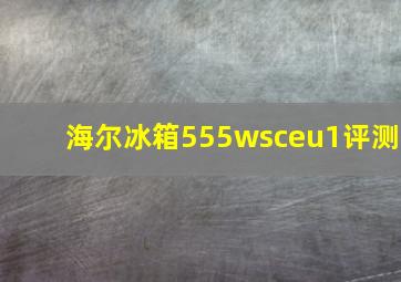 海尔冰箱555wsceu1评测