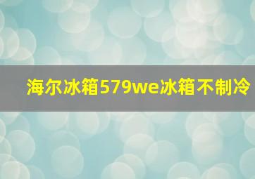 海尔冰箱579we冰箱不制冷