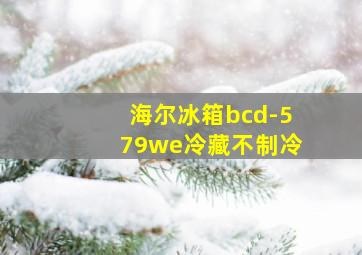 海尔冰箱bcd-579we冷藏不制冷