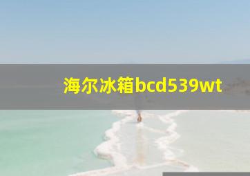 海尔冰箱bcd539wt