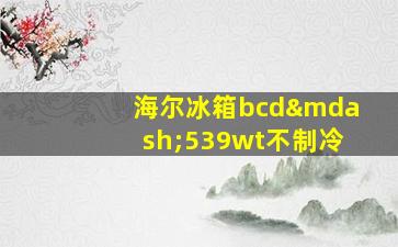 海尔冰箱bcd—539wt不制冷