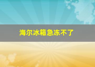 海尔冰箱急冻不了