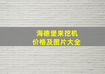 海德堡来挖机价格及图片大全