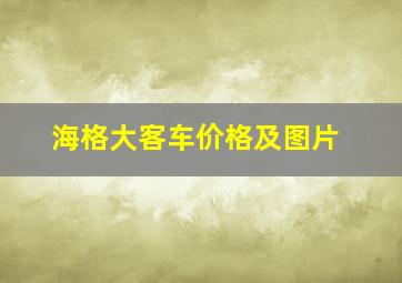 海格大客车价格及图片