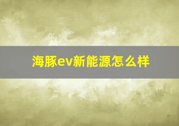 海豚ev新能源怎么样