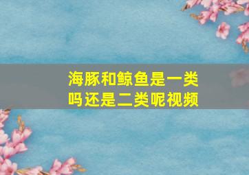 海豚和鲸鱼是一类吗还是二类呢视频