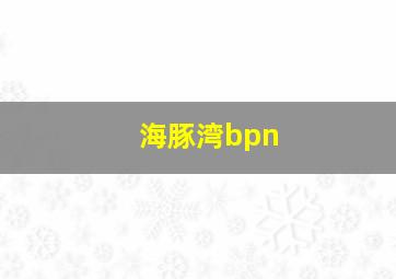 海豚湾bpn