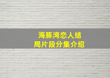 海豚湾恋人结局片段分集介绍