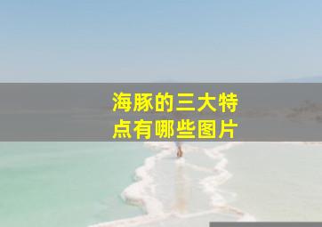 海豚的三大特点有哪些图片