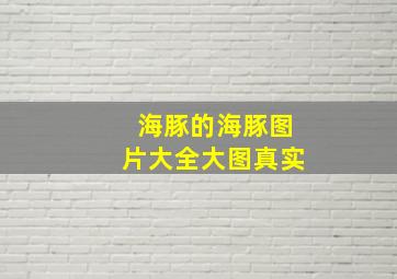 海豚的海豚图片大全大图真实