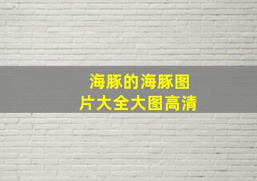 海豚的海豚图片大全大图高清