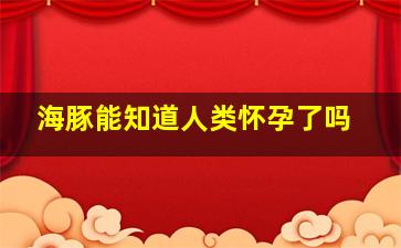 海豚能知道人类怀孕了吗