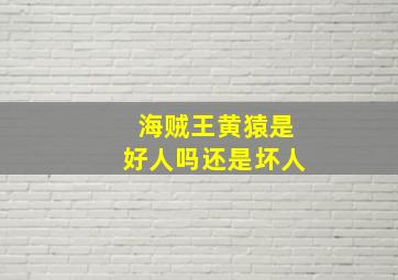 海贼王黄猿是好人吗还是坏人