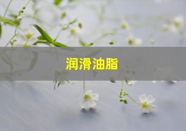 润滑油脂