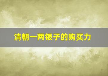 清朝一两银子的购买力