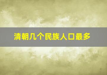 清朝几个民族人口最多