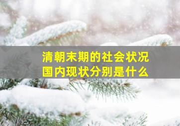 清朝末期的社会状况国内现状分别是什么