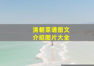 清朝菜谱图文介绍图片大全