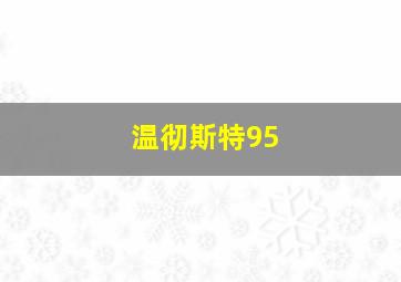 温彻斯特95