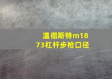 温彻斯特m1873杠杆步枪口径