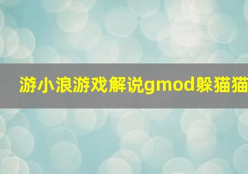 游小浪游戏解说gmod躲猫猫