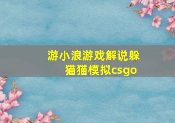 游小浪游戏解说躲猫猫模拟csgo