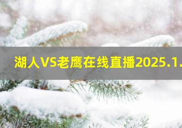 湖人VS老鹰在线直播2025.1.4