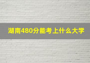 湖南480分能考上什么大学