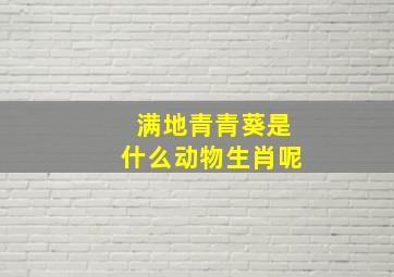 满地青青葵是什么动物生肖呢