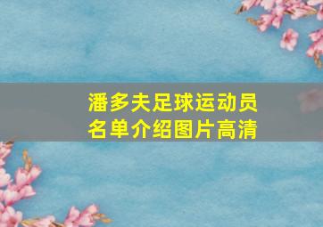 潘多夫足球运动员名单介绍图片高清