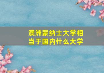 澳洲蒙纳士大学相当于国内什么大学