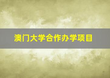 澳门大学合作办学项目