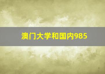 澳门大学和国内985