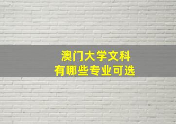 澳门大学文科有哪些专业可选