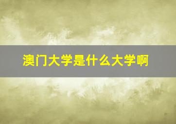 澳门大学是什么大学啊