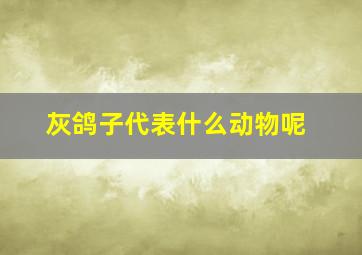 灰鸽子代表什么动物呢