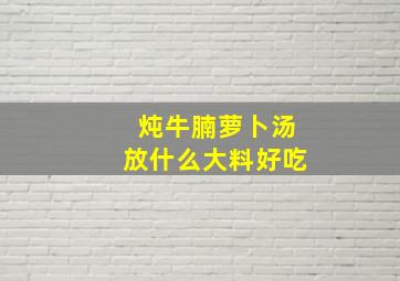 炖牛腩萝卜汤放什么大料好吃