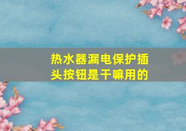 热水器漏电保护插头按钮是干嘛用的