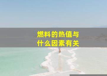 燃料的热值与什么因素有关