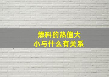 燃料的热值大小与什么有关系