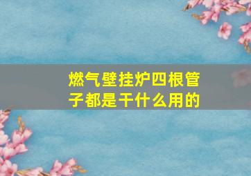 燃气壁挂炉四根管子都是干什么用的