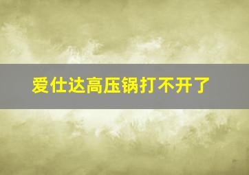 爱仕达高压锅打不开了