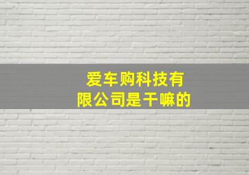 爱车购科技有限公司是干嘛的