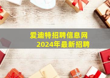 爱迪特招聘信息网2024年最新招聘