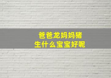 爸爸龙妈妈猪生什么宝宝好呢