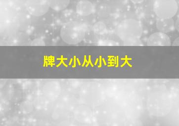 牌大小从小到大