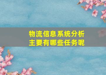 物流信息系统分析主要有哪些任务呢