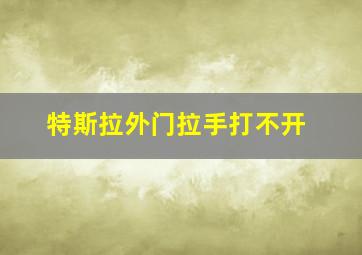 特斯拉外门拉手打不开