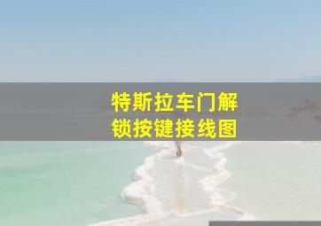 特斯拉车门解锁按键接线图